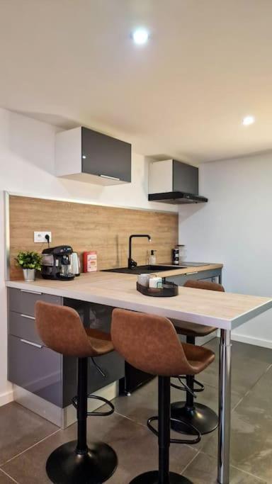 Apartament L'Atelier C Magnifique Loft Avec Terrasse Privee Saint-Etienne  Zewnętrze zdjęcie